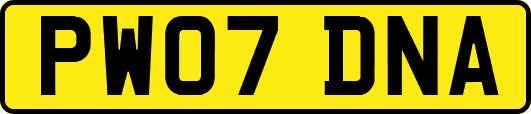 PW07DNA