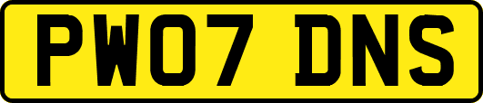 PW07DNS