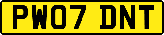 PW07DNT
