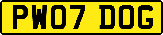 PW07DOG