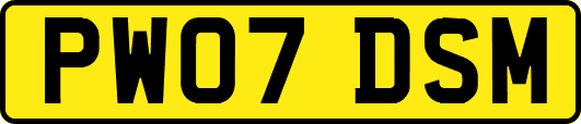 PW07DSM