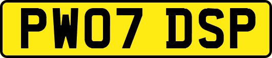 PW07DSP