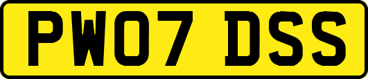 PW07DSS