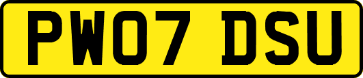 PW07DSU