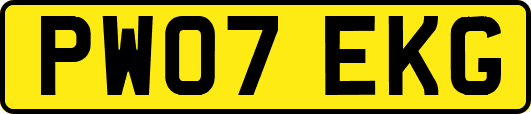 PW07EKG