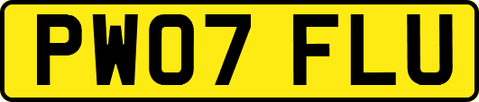 PW07FLU