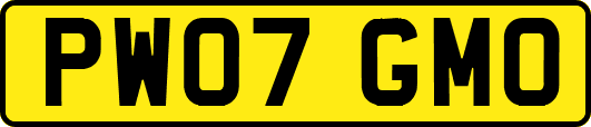 PW07GMO
