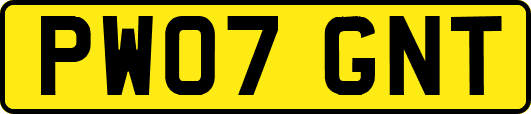 PW07GNT