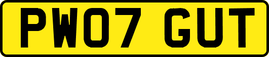 PW07GUT