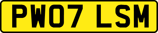 PW07LSM