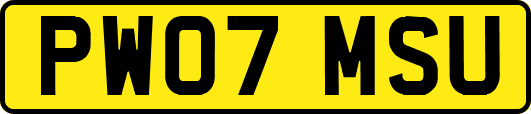 PW07MSU