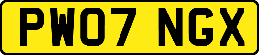 PW07NGX