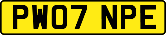 PW07NPE
