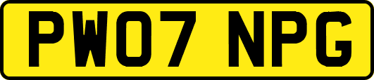 PW07NPG
