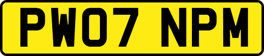 PW07NPM