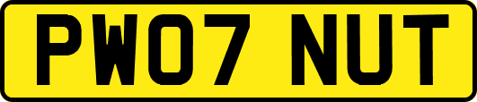 PW07NUT