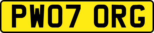 PW07ORG