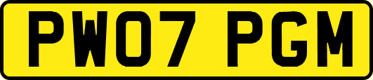 PW07PGM