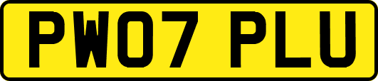 PW07PLU