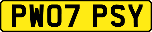 PW07PSY