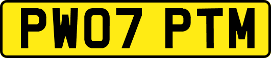 PW07PTM