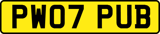 PW07PUB