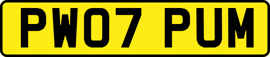 PW07PUM