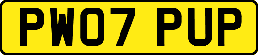 PW07PUP