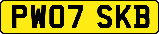 PW07SKB