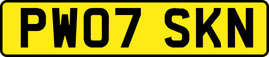 PW07SKN