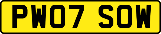 PW07SOW