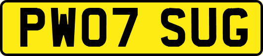 PW07SUG
