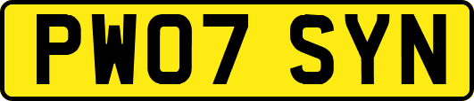 PW07SYN