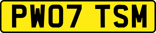 PW07TSM