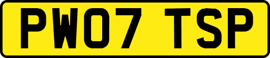 PW07TSP