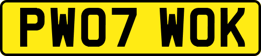 PW07WOK