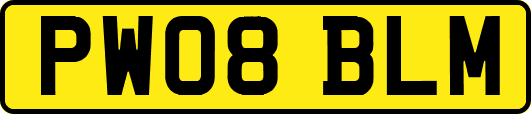 PW08BLM