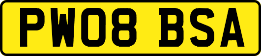 PW08BSA