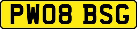 PW08BSG
