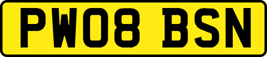 PW08BSN