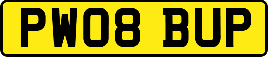 PW08BUP