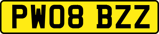 PW08BZZ