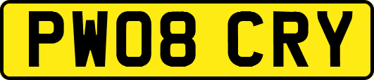 PW08CRY