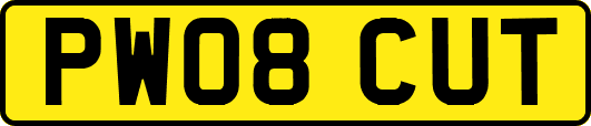 PW08CUT