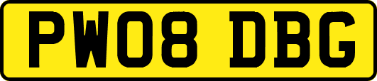 PW08DBG