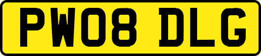 PW08DLG