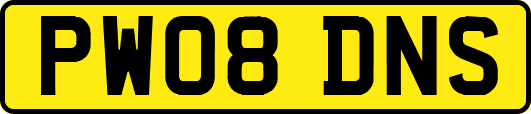 PW08DNS