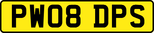 PW08DPS