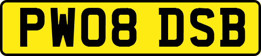 PW08DSB