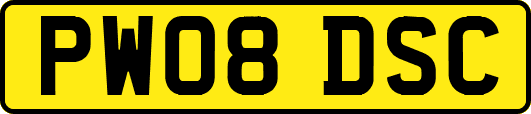 PW08DSC